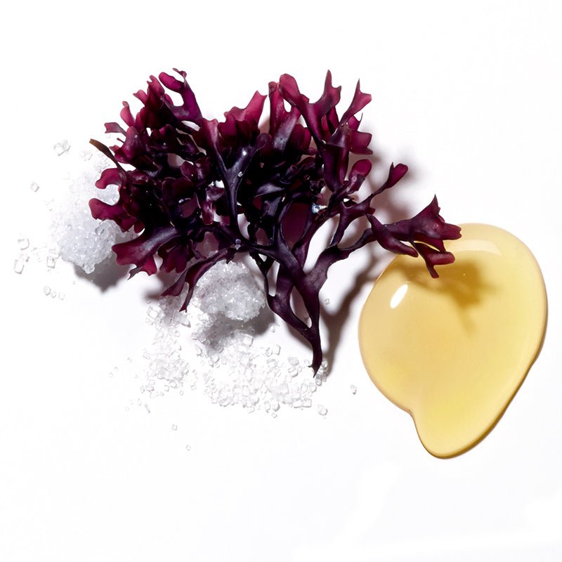 62 Mattifying Hydrating Lotion